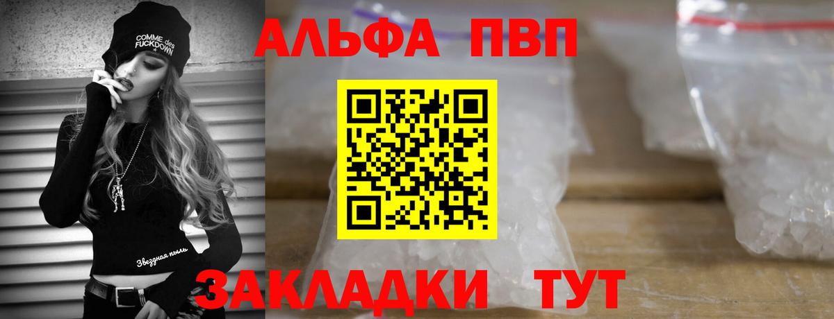A PVP СК Саранск