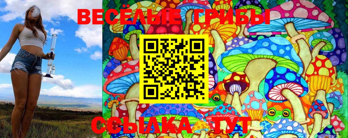 Саранск  Псилоцибиновые грибы Cubensis  Вход с VPN  Галлюциногенные грибы Cubensis 